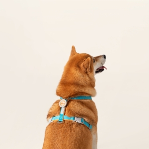 TailsCharm™ - Insect Repellent Essential Oil Series