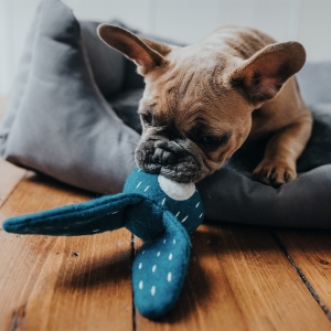 HUNTER Healing Plush Toy - Umwelt