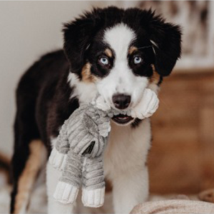 HUNTER Huggly Snuggle Plush Toy