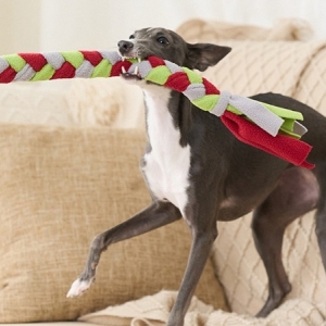 Tug-of-war Interactive Toy Series.
