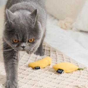Shaped Catnip Toy Series.