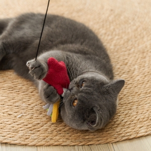 Shaped Catnip Cat Teaser Stick Series.