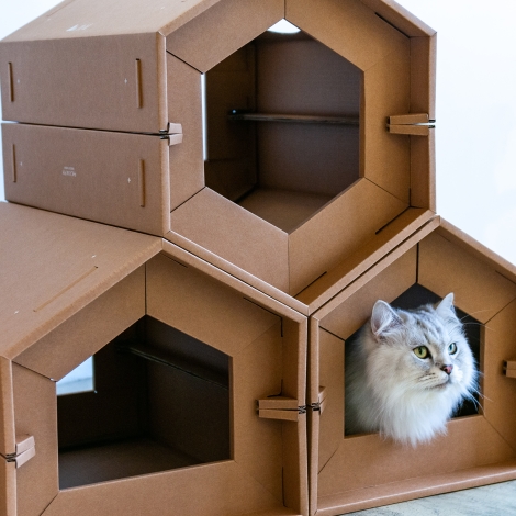 Good House Cat Scratcher Series.